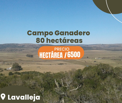 Campo De 80 Hectáreas En Lavalleja, Cerca De Minas