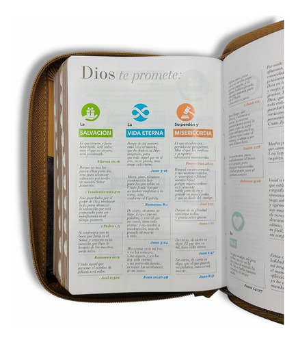 Imagen 10 de 10 de Biblia Juvenil Compacta Letra Grande 11 Pt Aguila Cafe