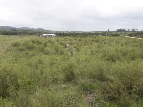 Campo De 5 Has Con 5891 M2