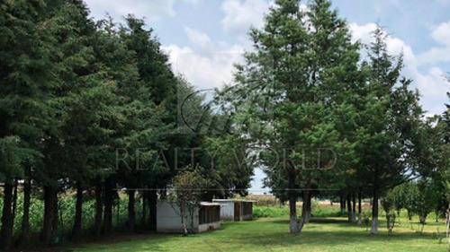 Terrenos En Venta En San Pedro Totoltepec