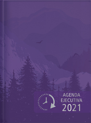 Libro 2021 Agenda Ejecutiva - Tesoros De Sabidurã­a - Vio...