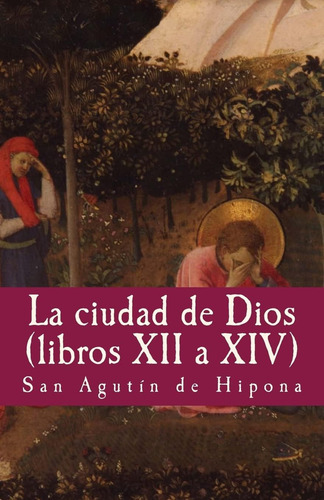 Libro La Ciudad De Dios Vol Xii A Xiv (philosophiae Memoria)