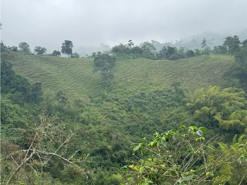Lote En Venta En Vereda La Aurora Manizales | Venta Terreno