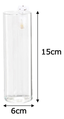 2x Maceta Colgante De Pared De Vidrio Terrarios Maceta De