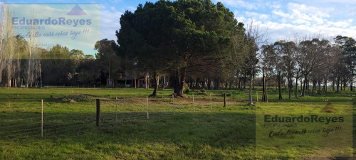 Terreno - Parque Las Naciones