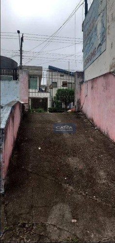 Imagem 16 de 30 de Terreno À Venda Na Vila Carmosina - Te1683
