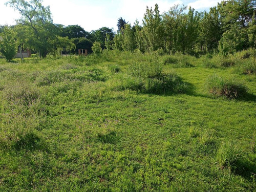 Oportunidad De Inversión Vendo Lotes En Tanti, B°san Miguel