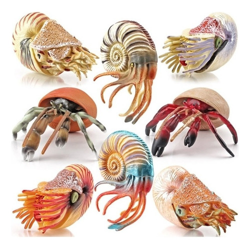 Cangrejo Ermitaño Modelo Nautilus - 8 Criaturas Marinas [u]