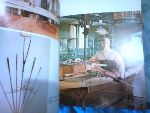 Libro En Italiano Il Museo Oceanografico Mónaco ( Guía )