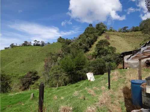Finca En Venta La Unión Via Abejorral Antioquia. 83 Hectareas