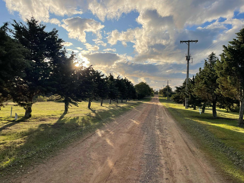 Venta De Parcelas, 5.000 Mts2, Con Agua Y Luz, En Algarrobo