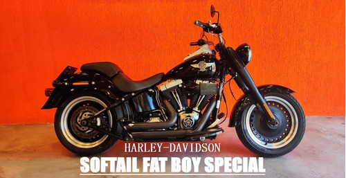 Harley Davidson Softail Fatboy Special 2013