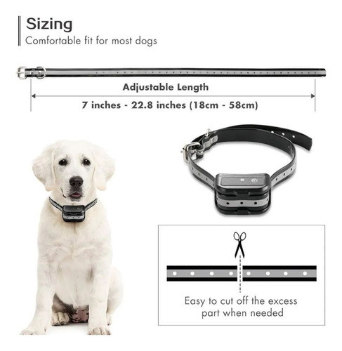 Collar De Adiestramiento Para Mascotas Con Control Remoto Negro
