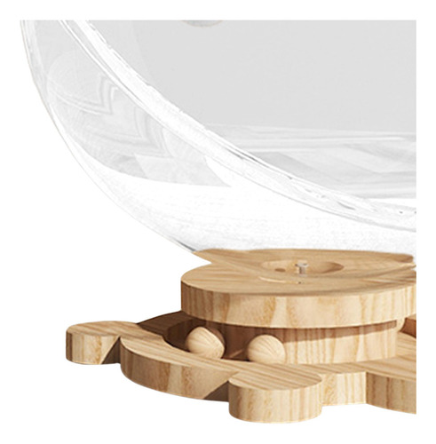 Cama Para Gatos En Cápsula Transparente, Cama Para L