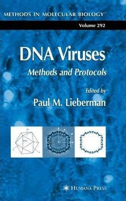 Libro Dna Viruses : Methods And Protocols - Paul M. Liebe...