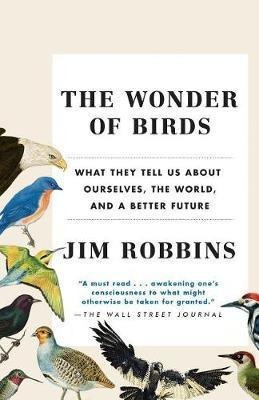 The Wonder Of Birds - Jim Robbins (paperback)