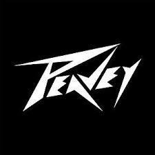 Imagen 2 de 10 de Fender Service Reparacion Servicio Tecnico Peavey Roland Vox