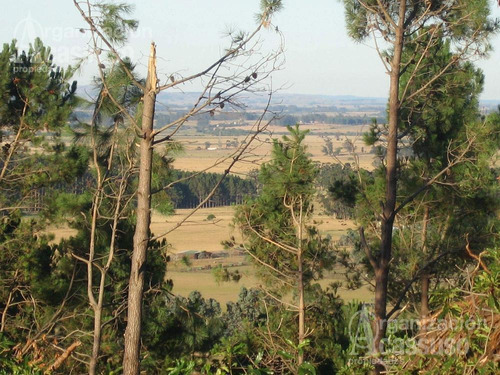 Imagen 12 de 19 de Punta Del Este - Chacra Venta Usd 1.100.000