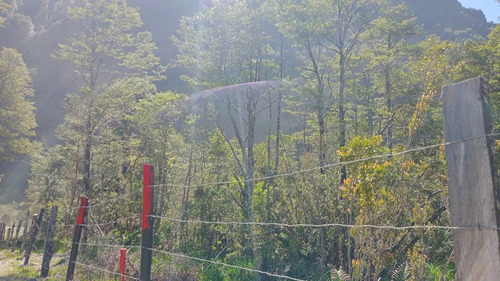 Venta De Parcela Sector Bahía Acantilada (172853)