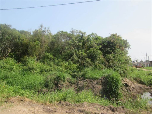 Imagem 4 de 4 de Terreno - Venda - Sao Pedro - Itanhaem - Ita2151
