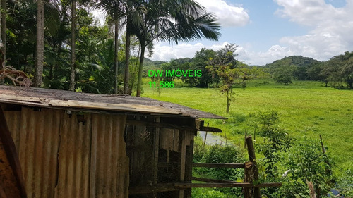 Imagem 14 de 15 de Sitio - 04985 - 67857569