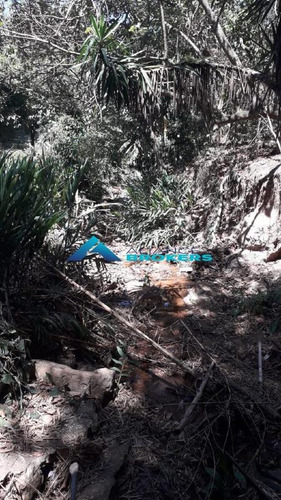 Imagem 2 de 18 de Chácara A Venda No Bairro Champirra - Rio Acima No Loteamento Vivenda - 7303