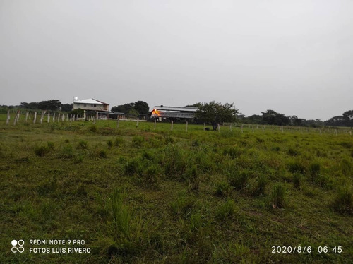 Imagen 5 de 13 de Hermosa Finca En Achaguas Apure A Tan Solo Minutos De La Carretera Nacional Código 10791 Niurka 04148321738