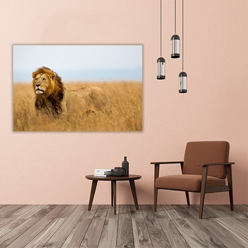 Cuadro Decorativo Animales Canvas Leon Poderoso Felino