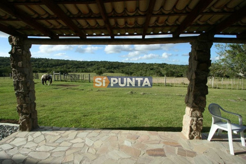 Imagen 11 de 30 de Campo Turistico Cerca De Punta Del Este