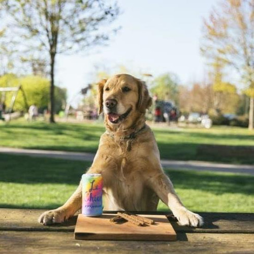 Juguete Chirriante Zippypaws: Divertido Y Resistente Canino