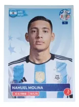 Comprar Copa América Usa 2024 Panini - Arg10 Nahuel Molina 