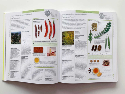 Imagen 3 de 7 de Enciclopedia De Plantas Medicinales (tapa Dura) / Chevallier