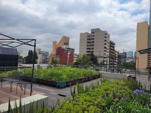 Oficina Frente Plaza Antara Polanco