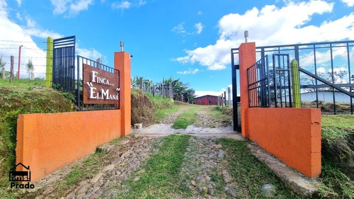 Imagen 9 de 9 de Terreno De 90.019 M2 Ubicado En Goicoechea, El Carmen De Guadalupe