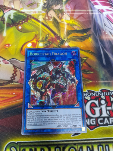 Yugioh! Borreload Dragon, Secret