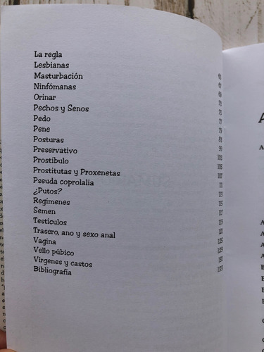 Groserías Y Palabrotas Chilenas / Profe. Jaime Campusano (Usado)