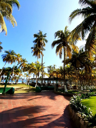 Imagen 3 de 11 de Apartamento En Venta Bahía De Cata (vc)