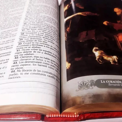 Sagrada Biblia Católica + Diccionario Bíblico Católico