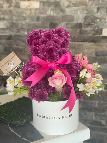 Flores De Oso Fucsia