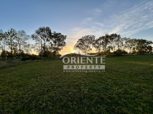 Osorno, Camino Puerto Octay Junto A Carretera