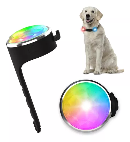 Collar LED para perro, collares ajustables con luz que brillan en la  oscuridad, collar de seguridad recargable por USB, luz para tus perros  caminando