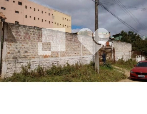 Imagem 5 de 9 de Terreno - Sao Lucas - Ref: 17508 - V-224711