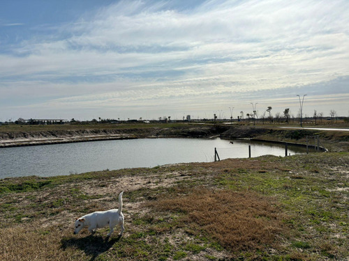 Lote Al Agua En Venta 731m² Noroeste - Barrio Riberas