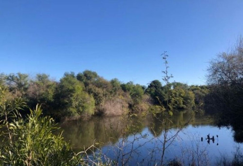 Imagen 2 de 4 de Se Vende Chacra De 2 Hectareas En Gualeguaychu , Entre Rios