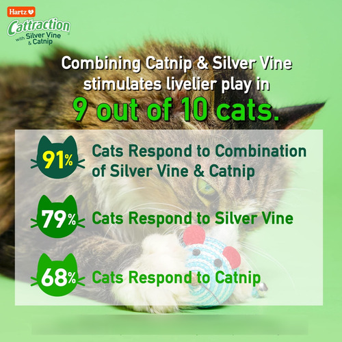 Paq Variado De Juguetes Para Gatos Cattraction Con Enredader