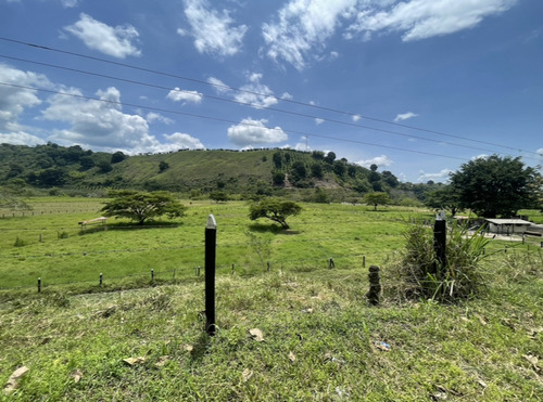 Se Vende Finca Ganadera Barragan Genova Quindio