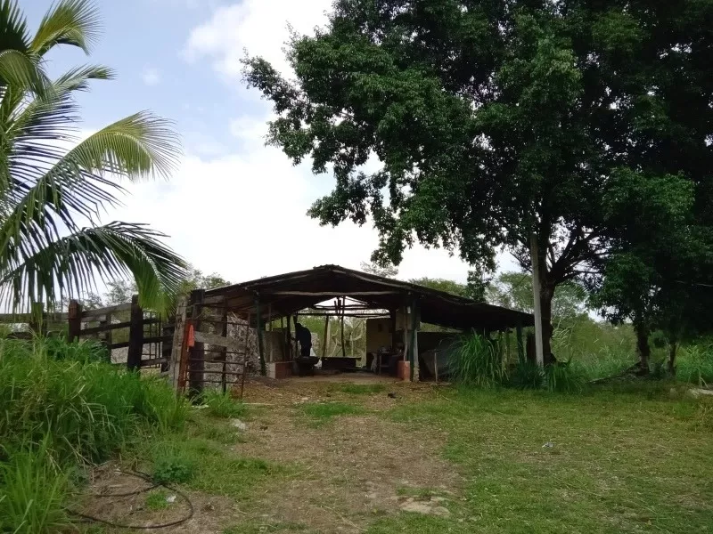 Rancho En Venta A 25 Km. De Mérida