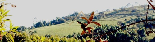 Imagem 1 de 30 de Sítio Em Meio As Montanhas A Venda - Bueno Brandão/mg - Si0015