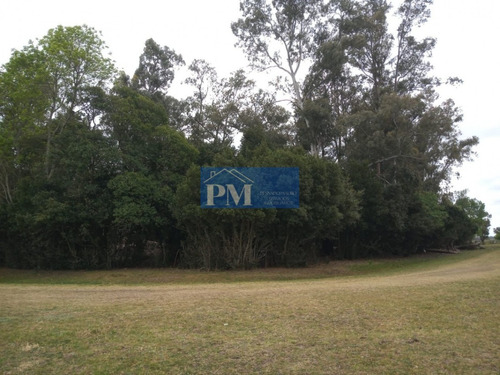 Terreno En Velloso