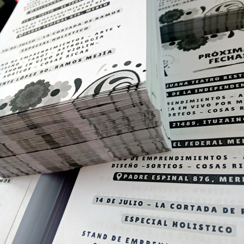 Folletos Volantes X500u 10x15 Byn Doble Faz - En El Dia !